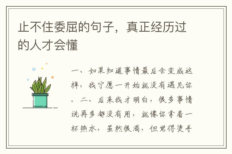 止不住委屈的句子,真正经历过的人才会懂