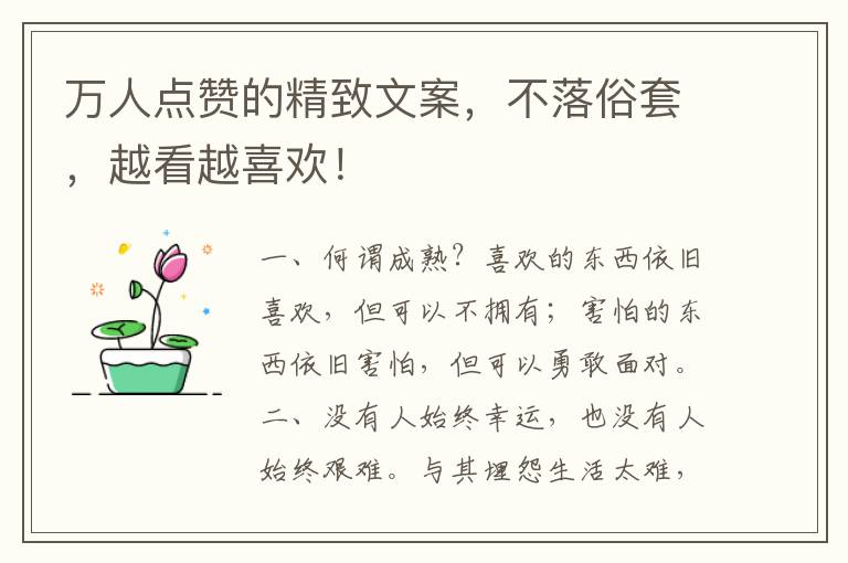 万人点赞的精致文案,不落俗套,越看越喜欢!