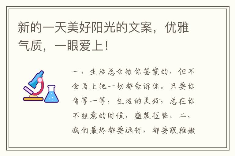 新的一天美好阳光的文案,优雅气质,一眼爱上!