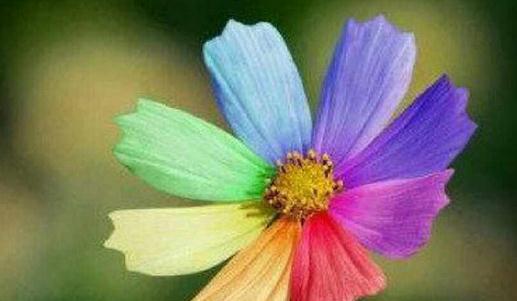 秋季最时尚的搭配你都会吗?