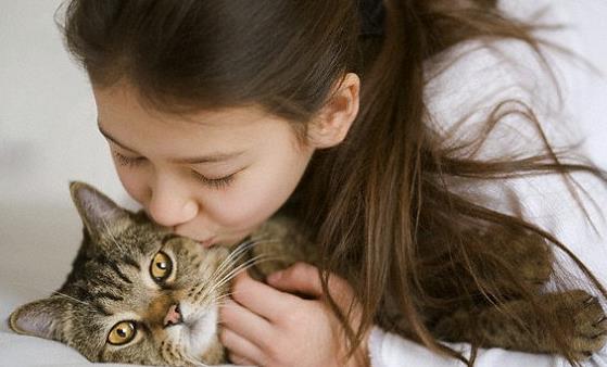 吸猫有风险 免疫力低尽量别养猫