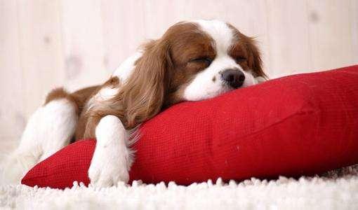 怎样才是好睡眠?这样才叫睡得好